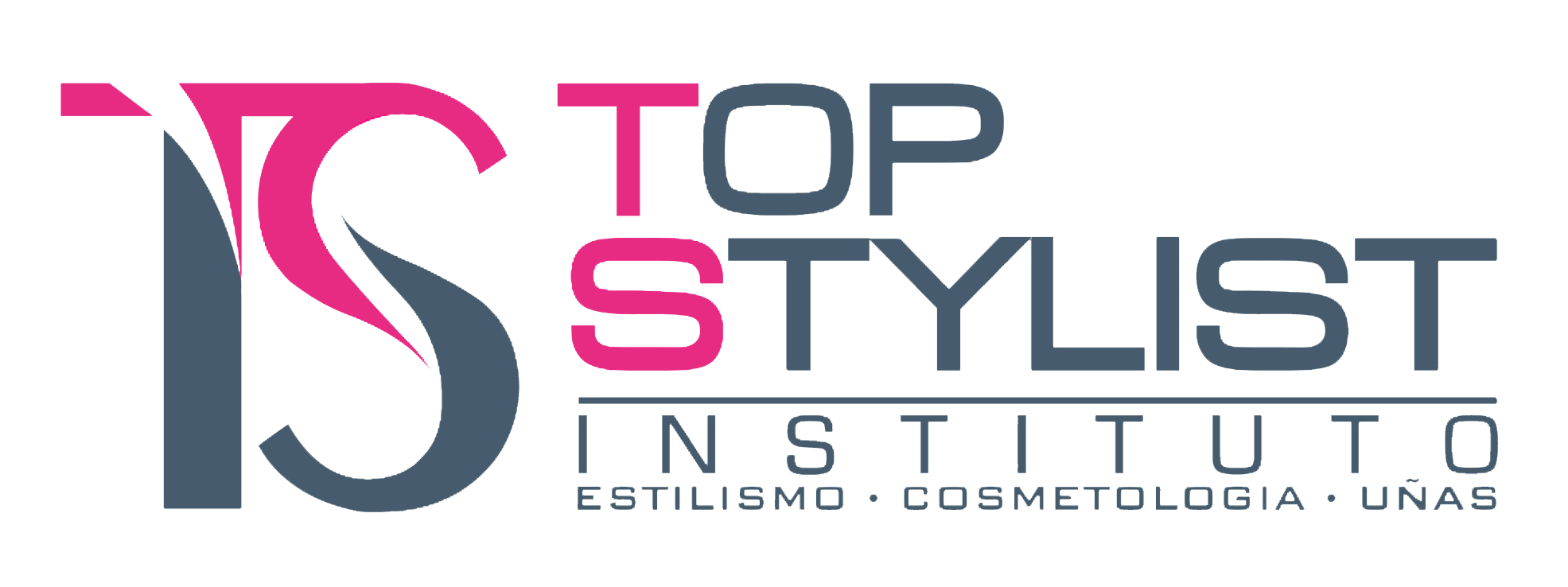 Logo Instituto Top Stylist.