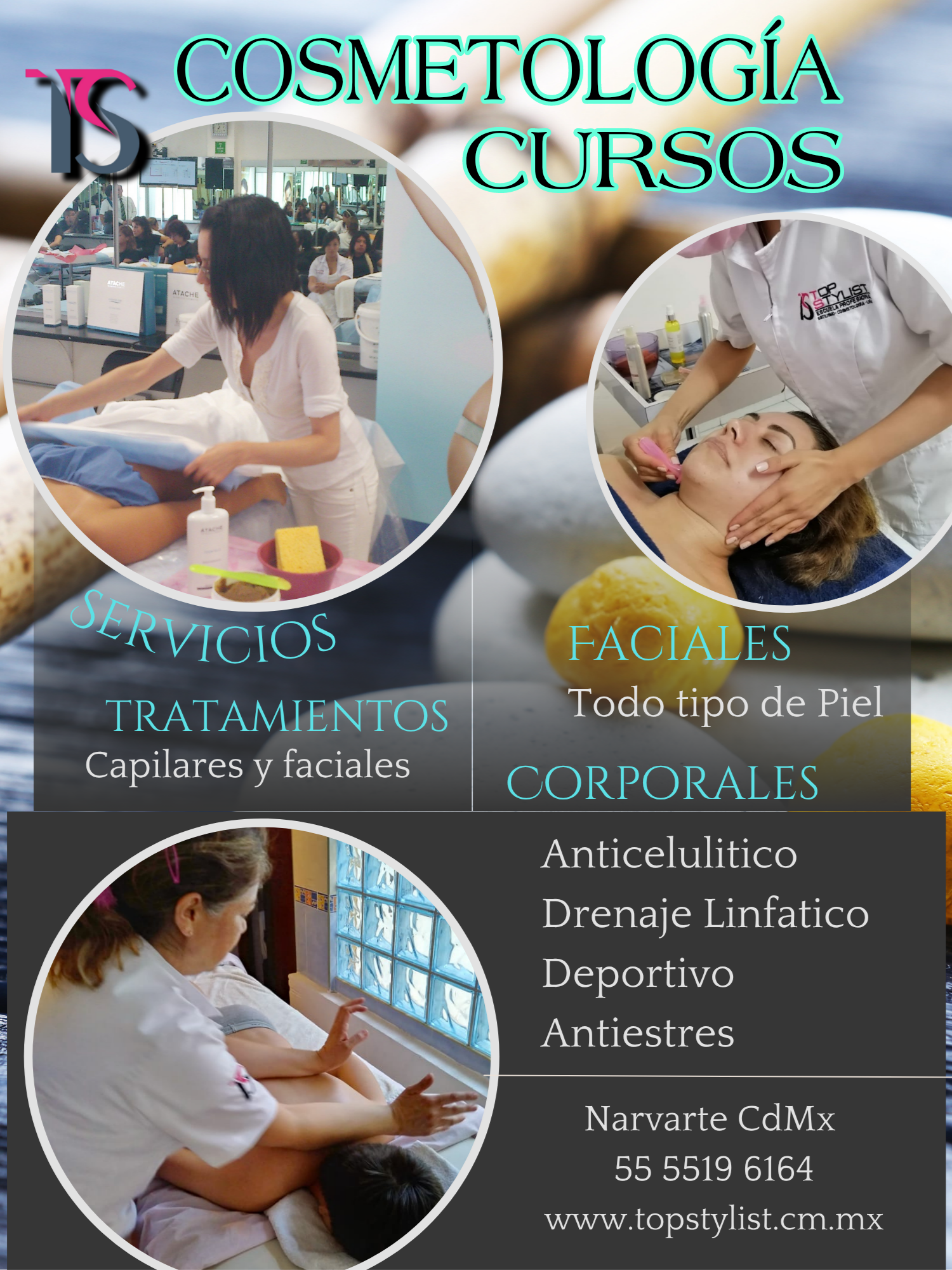 Cosmetología Top Stylist